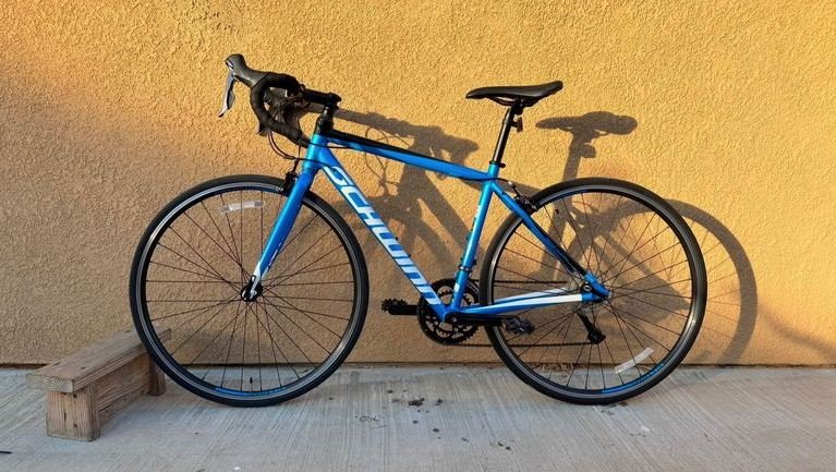 Schwinn Fastback AL Claris budget-friendly road bike